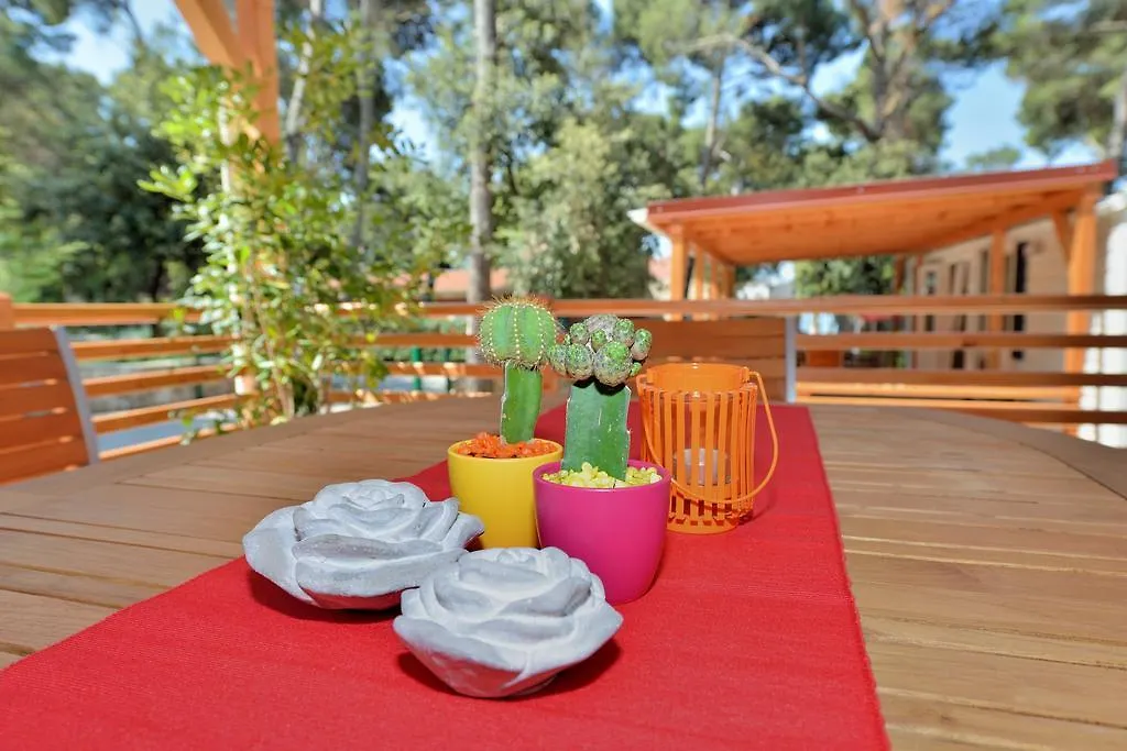 Sunny Home Soline Biograd Na Moru 4*,  Croatia