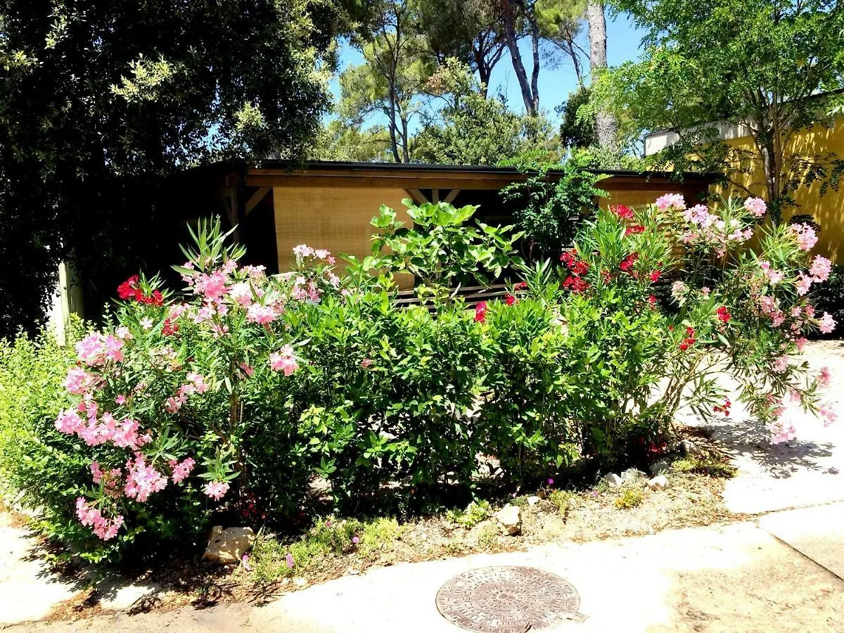 Sunny Home Soline Biograd Na Moru Campsite